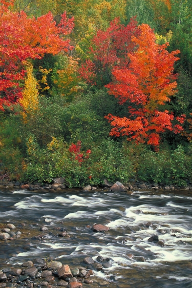 Chippewa River, Ont Canada